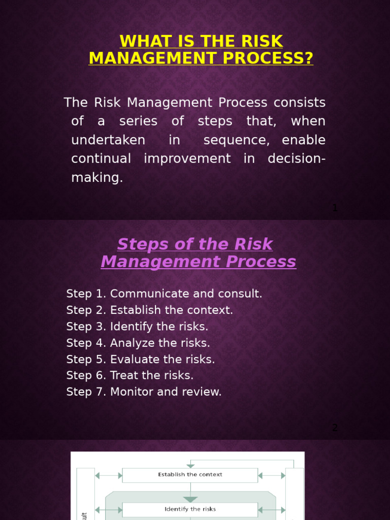 Understanding the Risk Management Process | PDF | Risk | Risk Management