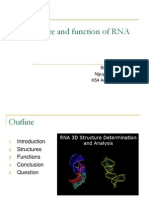 Structure and Function of RNA