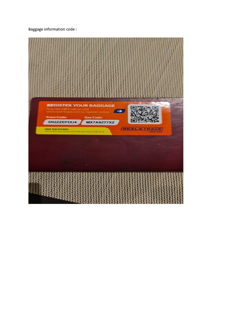 Baggage Information Code | PDF