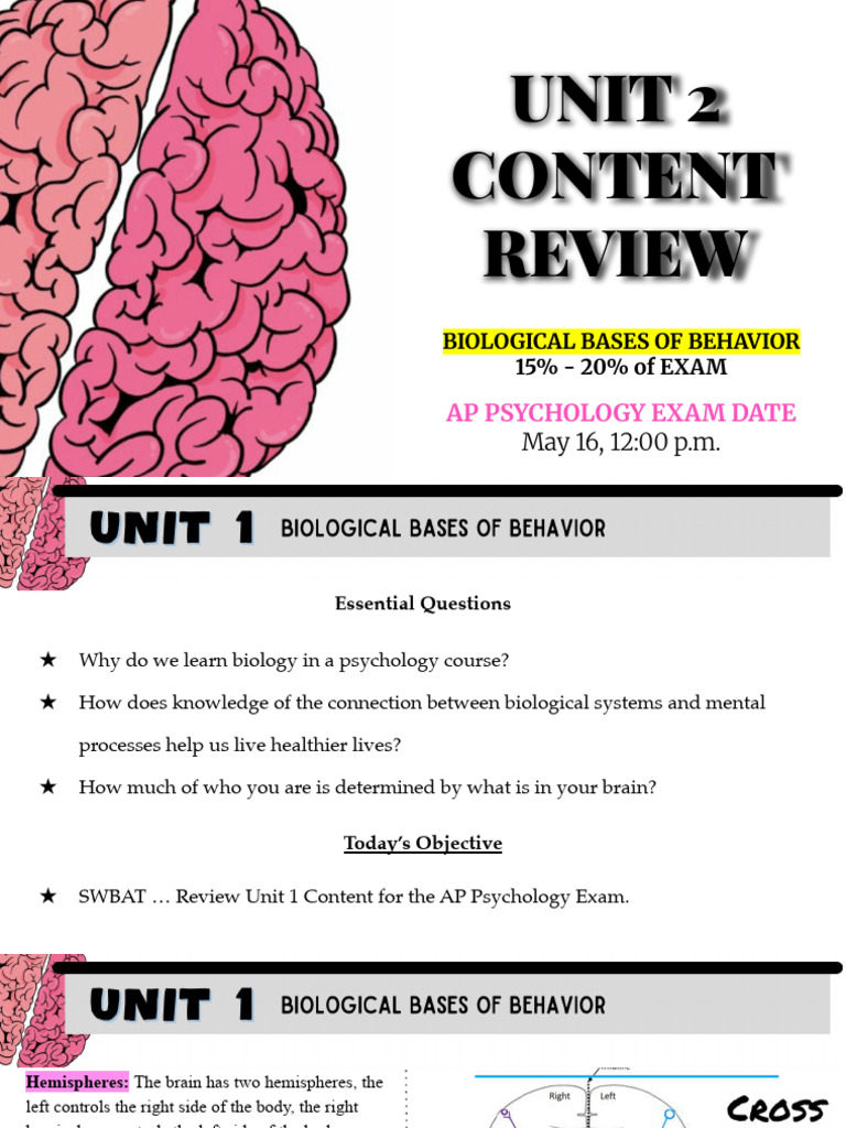 Biological Bases of Behavior Review | PDF | Neurotransmitter | Sleep