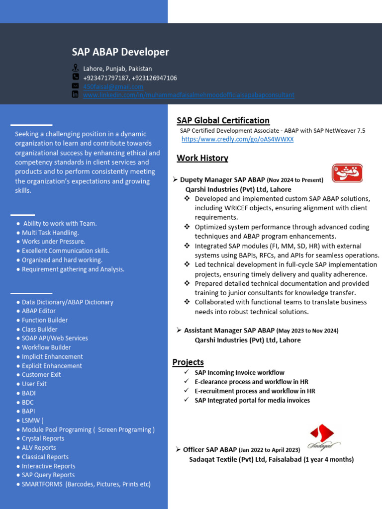 SAP ABAP Developer Resume Overview | PDF | Software Engineering ...