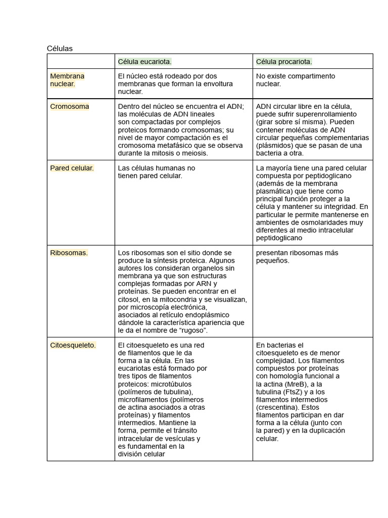 BBCC - Primer Parcial | PDF | Potencial de acción | Sinapsis