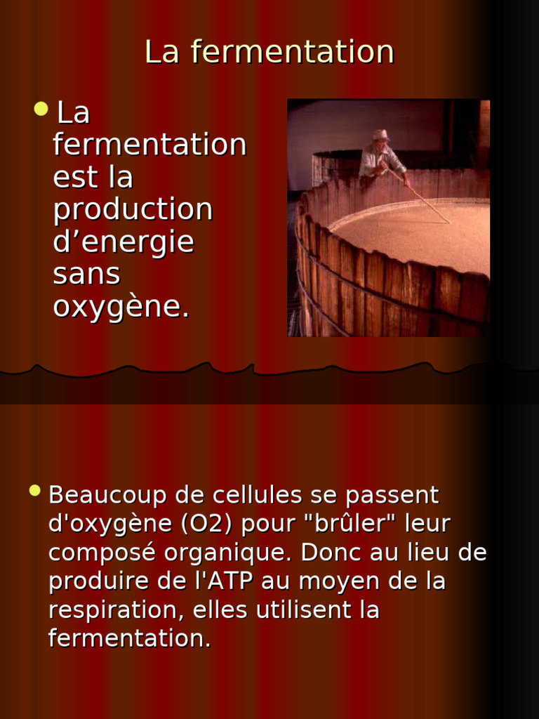 Fermentation : lactique et alcoolique | PDF