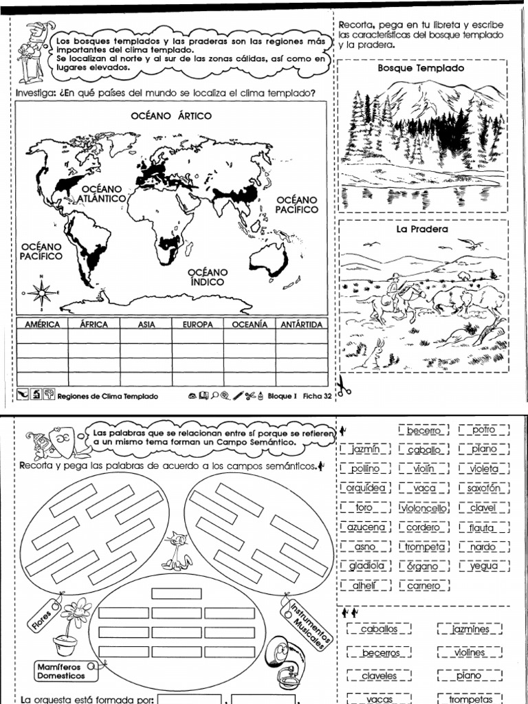 Clima Templado y Ejercicios | PDF