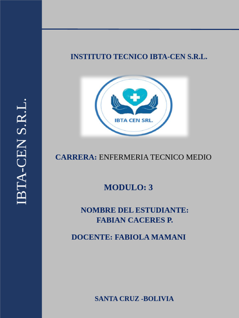 Instituto IBTA-CEN: Enfermería Técnico Medio | PDF