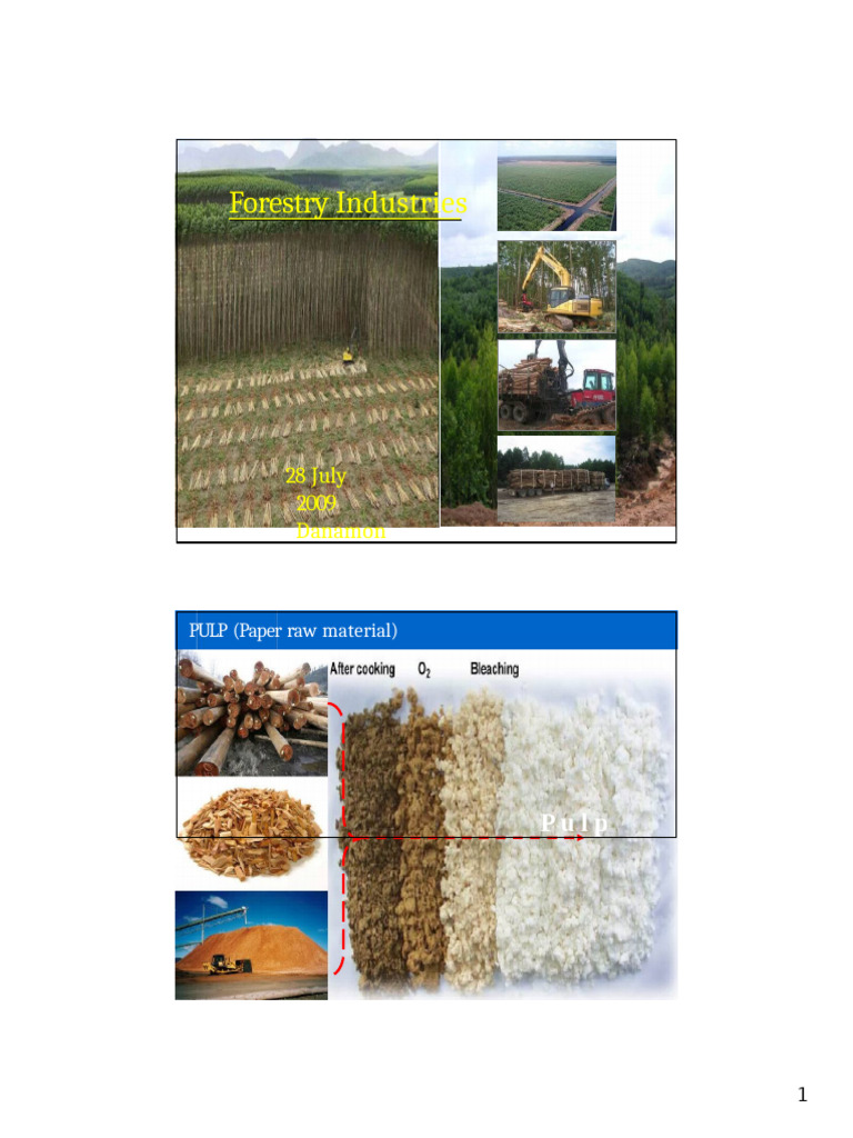 Pulp Production and Forestry Management Insights | PDF | Loader ...