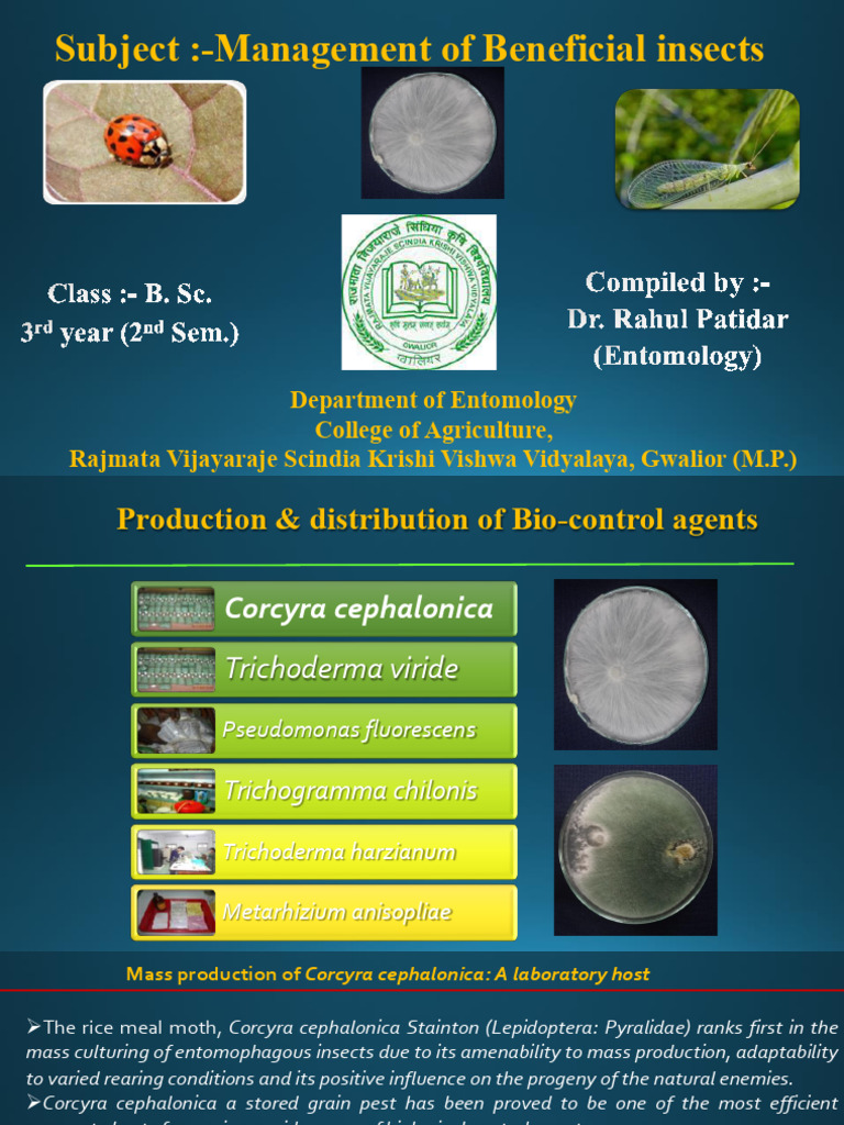 Photo inspiration: Fresh Look at Mass Production Of Trichogramma Spp Pdf