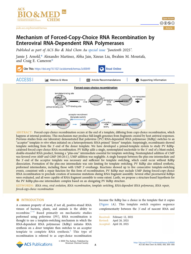 Mechanism of RNA Recombination in Viruses | PDF | Reverse Transcriptase ...