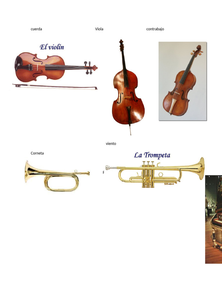 2 de Viento, Cuerda y Percusion | PDF