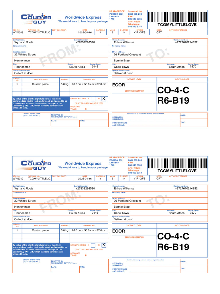 Worldwide Express Package Details | PDF | Freight Transport | Written ...