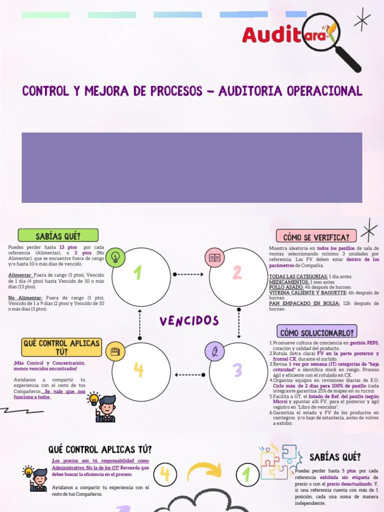 Control de Procesos - Auditoría Operacional | PDF | Dinero