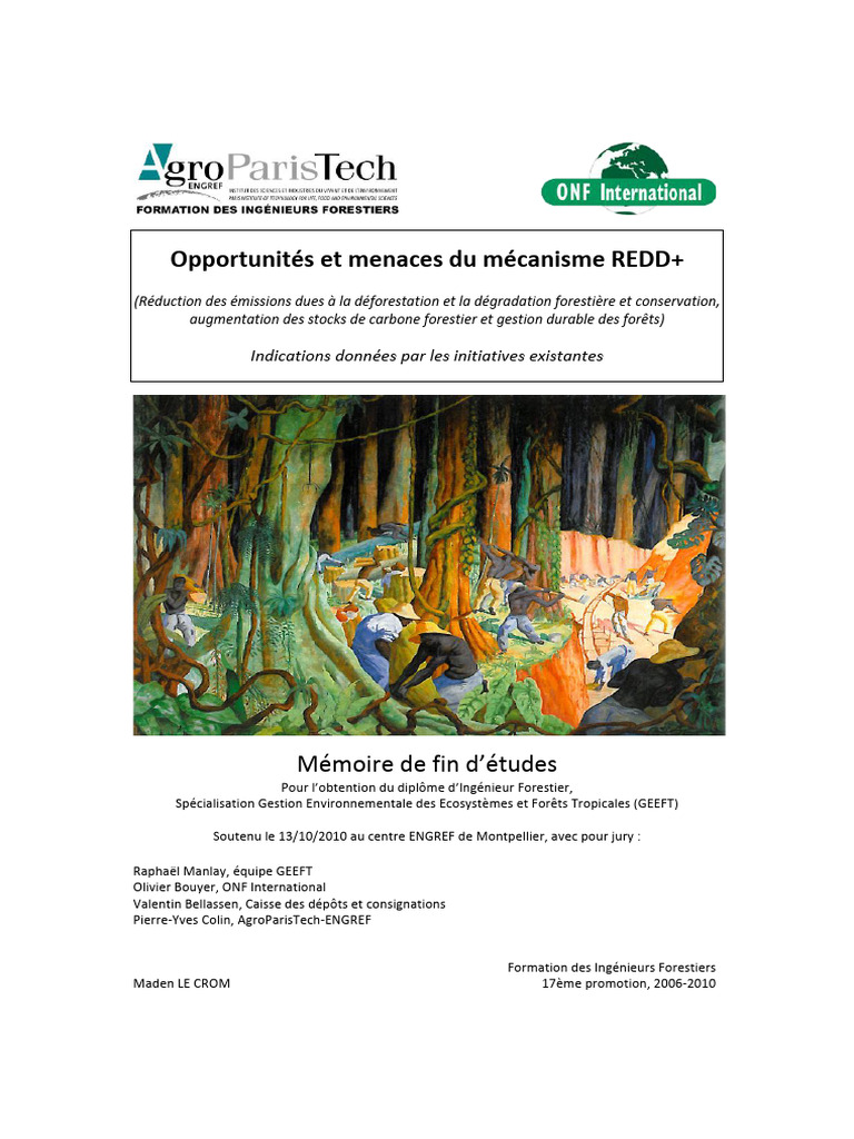 00 Menaces Et Opportunites Du Mecanisme Redd | PDF | Chess Theory | Chess