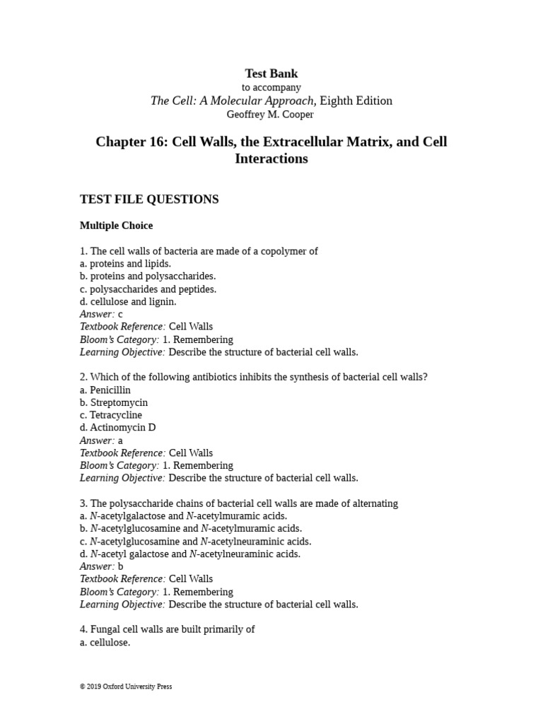 Cell Walls and Extracellular Matrix | PDF | Cell Adhesion ...