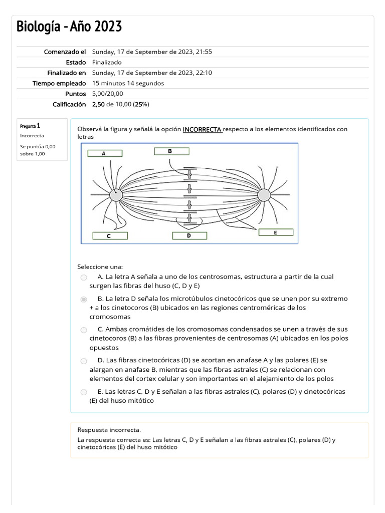 Bio Cuestionario de Autoevaluación Del TP 14 | PDF | Mitosis | Mitosis