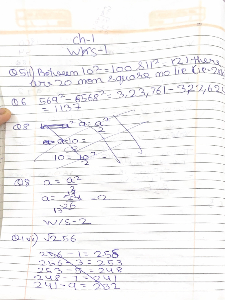 Maths Aarna Test Ws 1,2,3 | PDF