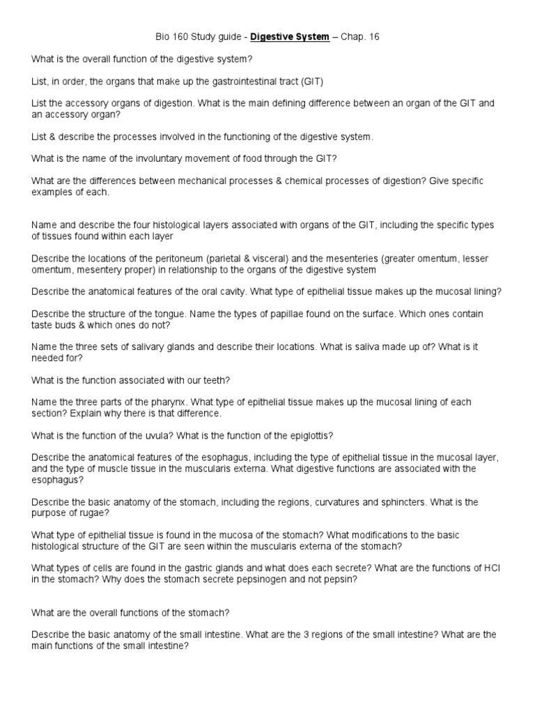 Digestive System Study Guide Bio 160 | PDF | Stomach | Gastrointestinal ...