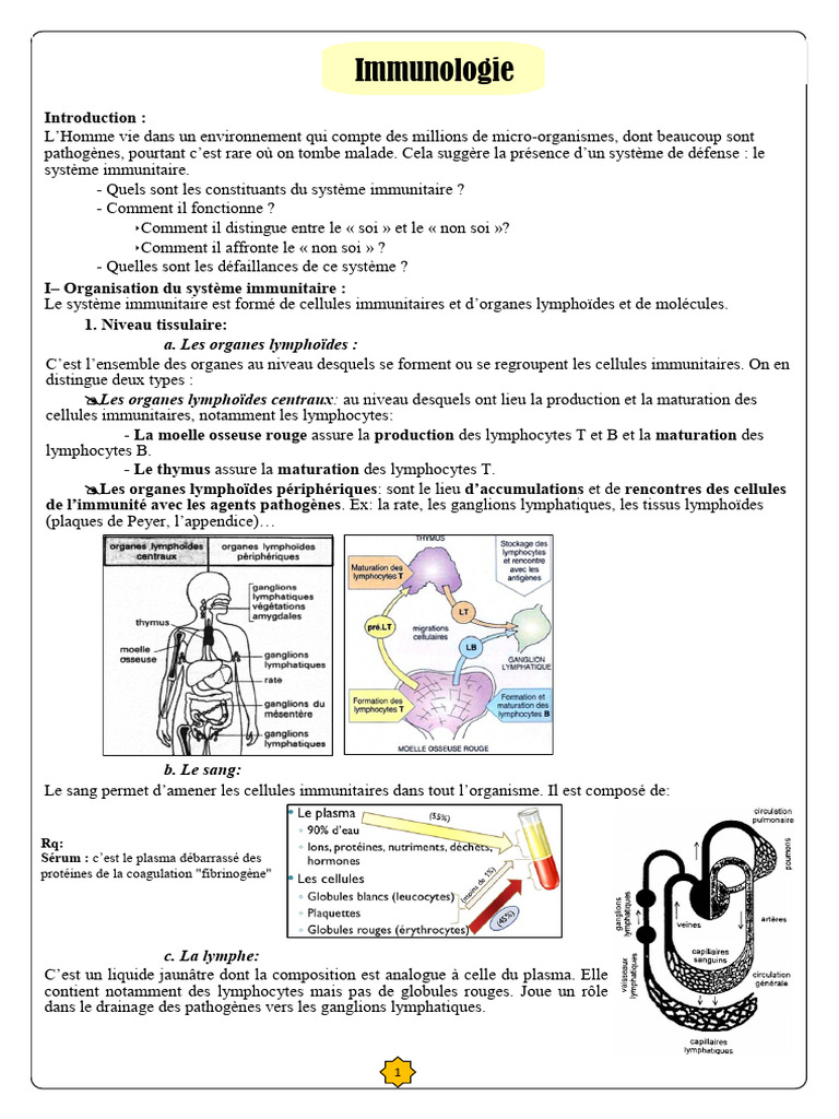 Comprendre le Système Immunitaire Humain | PDF | Système immunitaire ...