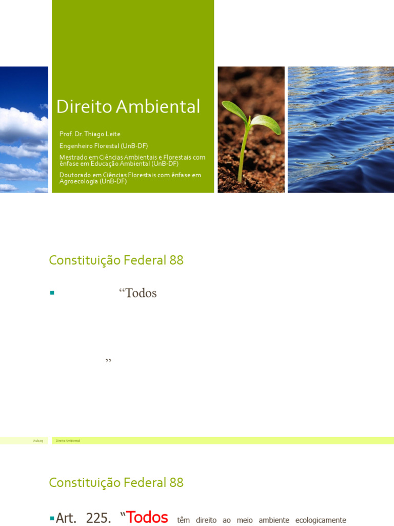 Princípios e Direitos do Meio Ambiente | PDF | Direito Ambiental ...