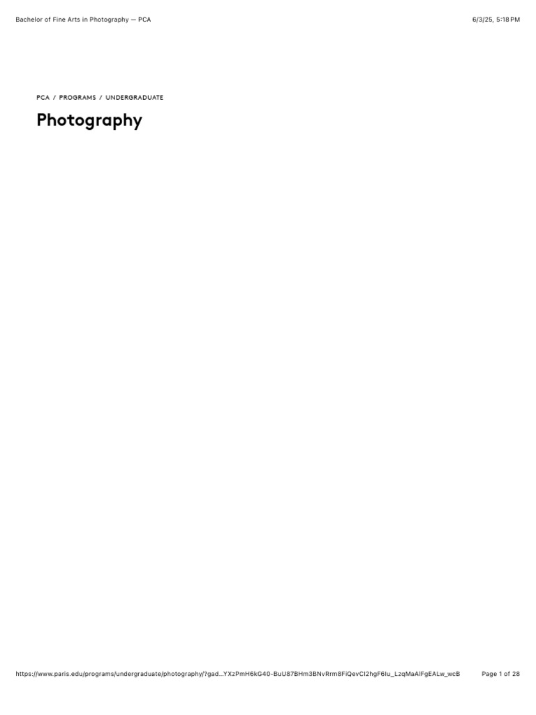 Bachelor of Fine Arts in Photography | PDF | Fine Art | Critical Thinking