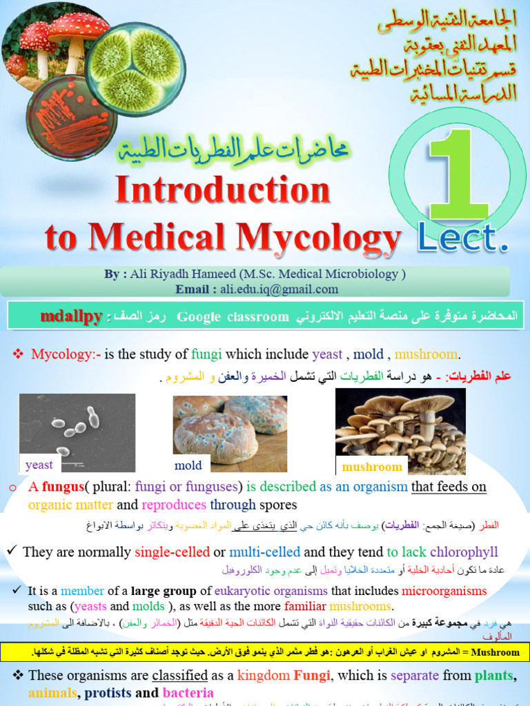 Introduction To Mycology | PDF | Fungus | Mold
