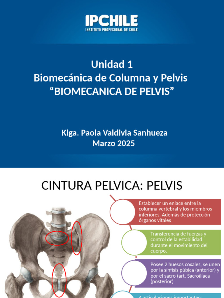 Biomecanica II - Columna y Pelvis 4 | PDF | Pelvis | La columna vertebral