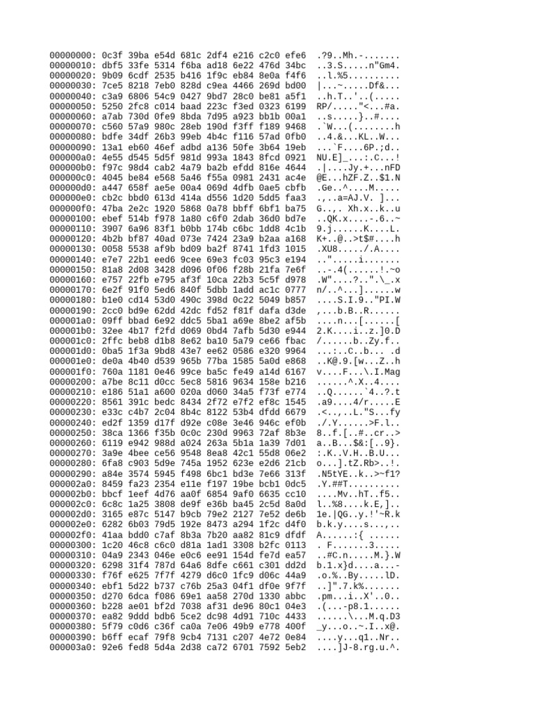 Hexadecimal Data Analysis Output | PDF