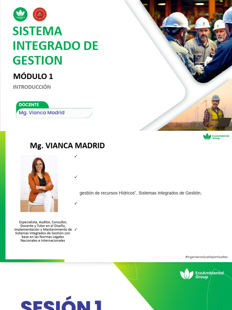 Diplomado en Sistemas de Gestión Integrados | PDF | Business