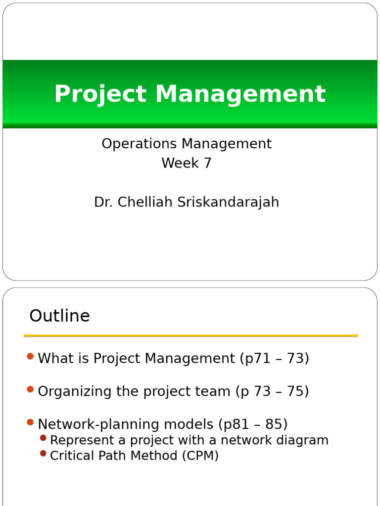 Project Management Essentials Guide | PDF