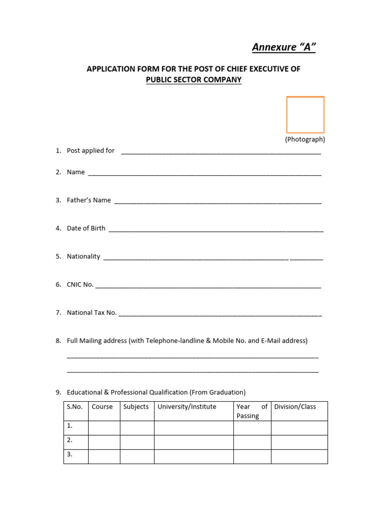CEO Application Form Template | PDF | Government | Justice