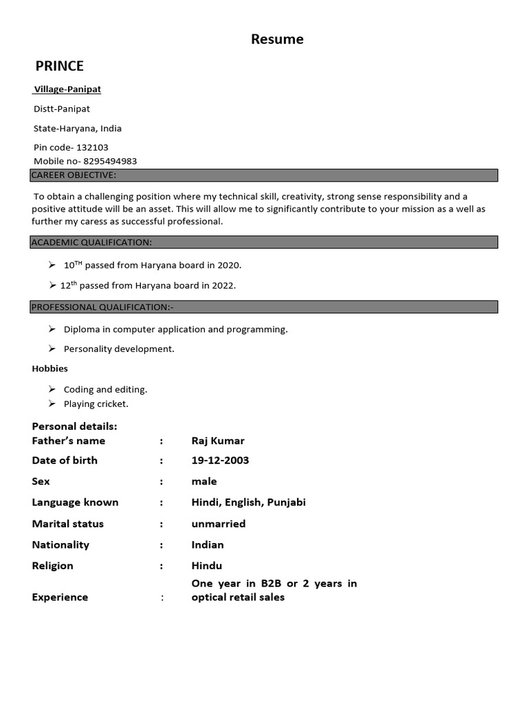 Resume of Prince - Technical Skills & Experience | PDF