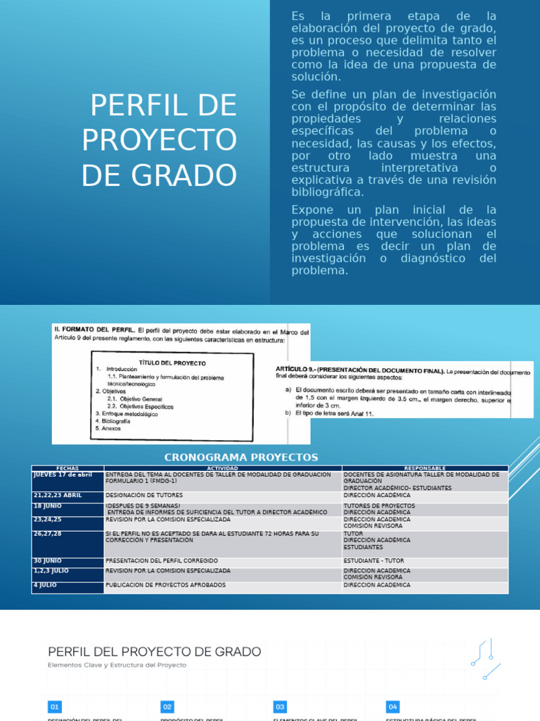 Guía para Elaborar un Perfil de Proyecto | PDF | normas internacionales ...