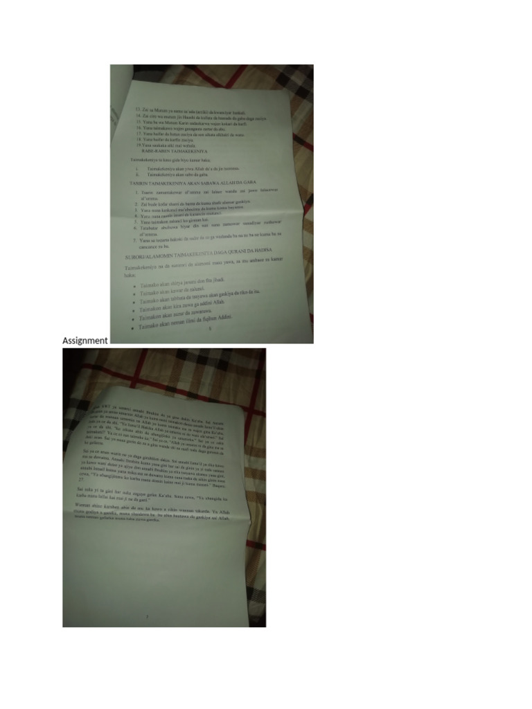 Assignment WPS Office | PDF