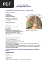 Download Anatomy-respiratory-system by Susanne Seynaeve SN871624 doc pdf