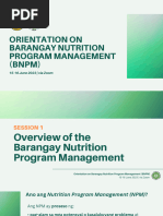 BNAP 2026 2028 Template 2 | PDF
