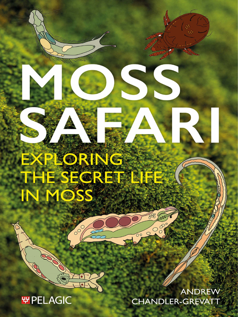 Moss Safari: Discovering Micro Life | PDF | Sexual Reproduction | Moss