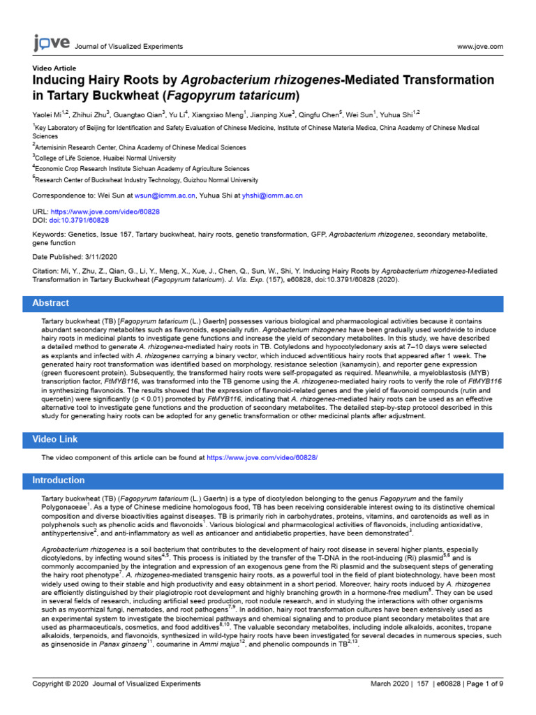 Inducing Hairy Roots by Agrobacterium Rhizogenes-Mediated ...