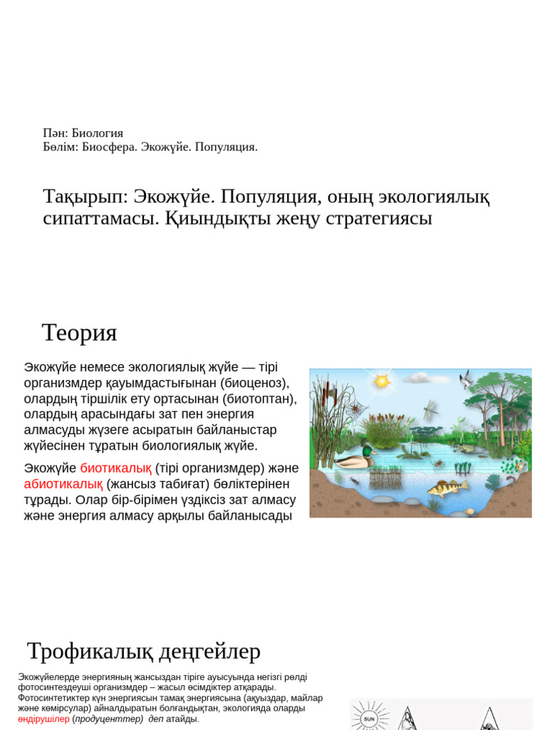 Азиялық қыздар ххх