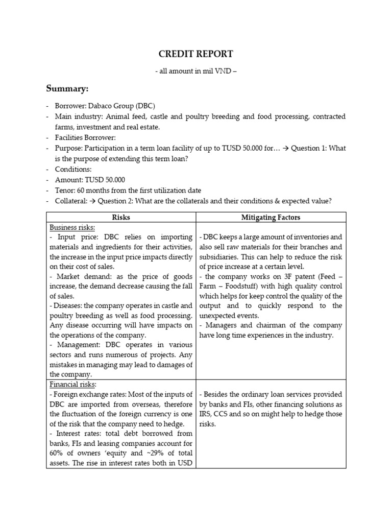 DBC - Credit Report - Chaudn | PDF | Revenue | Equity (Finance)