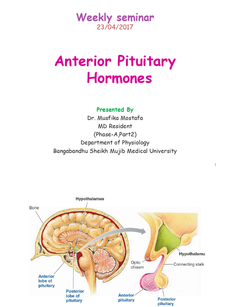 Anterior Pituitary Hormone | PDF | Growth Hormone | Gonadotropin