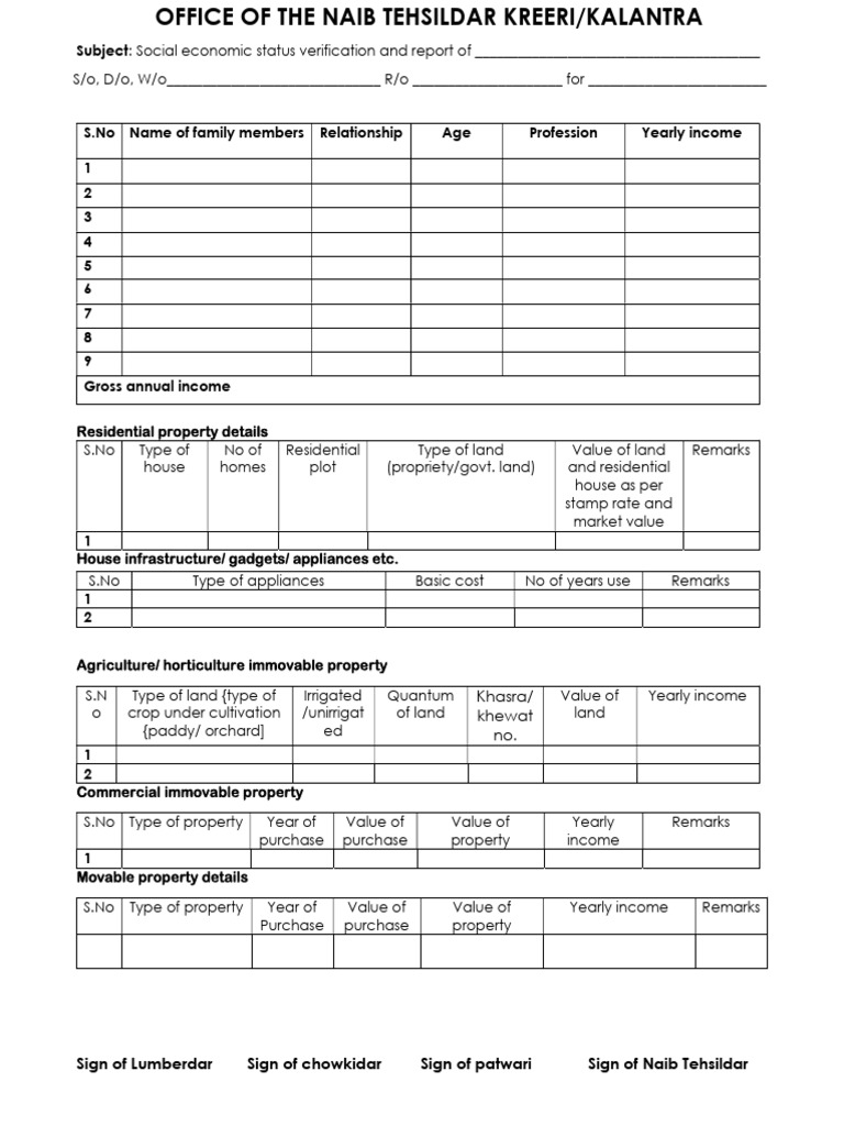 Income Format New 2025 | PDF