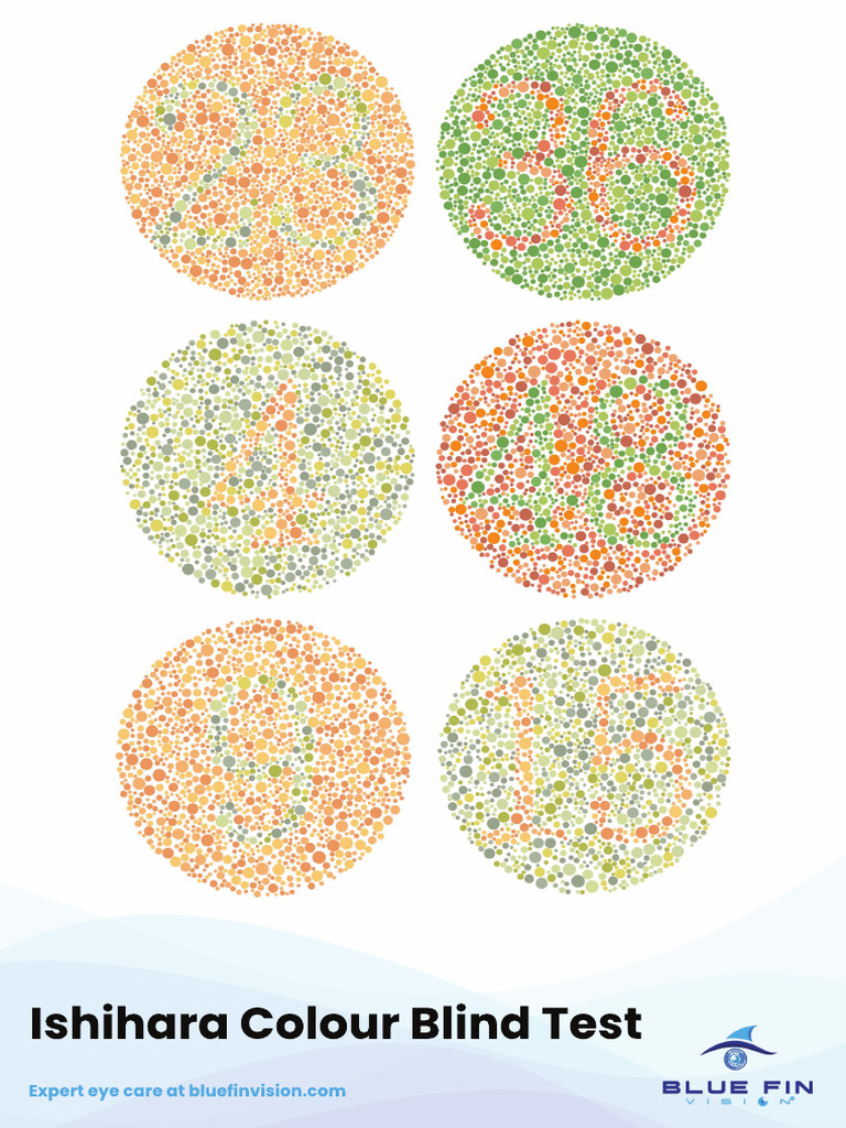 Blue Fin Vision Ishihara Colour Blind Test | PDF