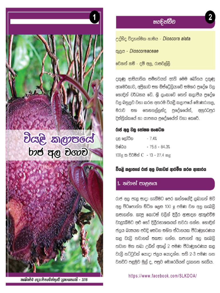 Rajaala | PDF