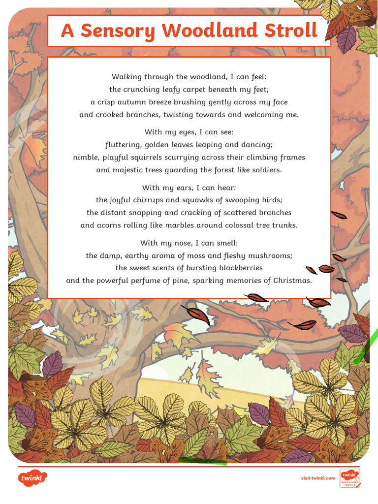 Week 3 Text - A Sensory Woodland Stroll | PDF