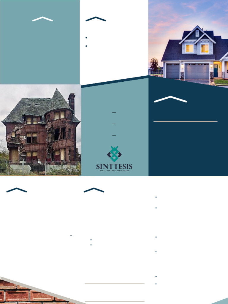 Brochure Termite Control | PDF
