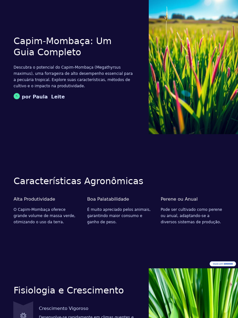 Guia Completo sobre Capim-Mombaça | PDF | Agricultura