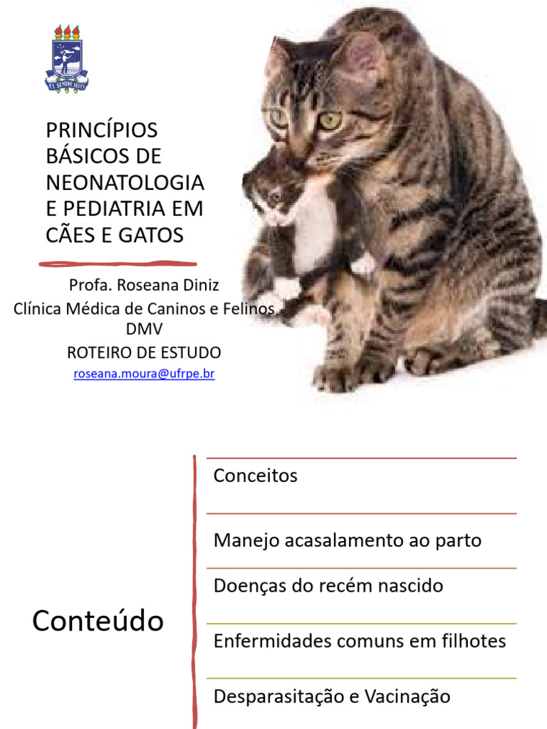 Neonatologia e Pediatria em Cães e Gatos | PDF | Osso | Cães