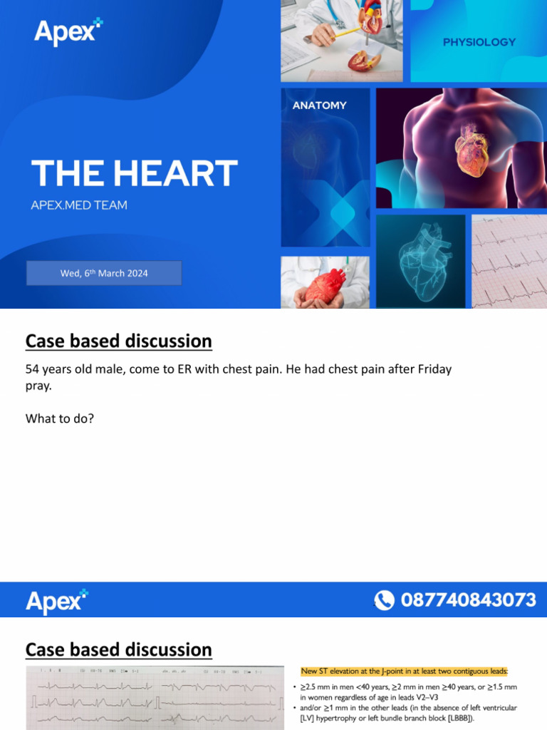 APEX 1st | PDF