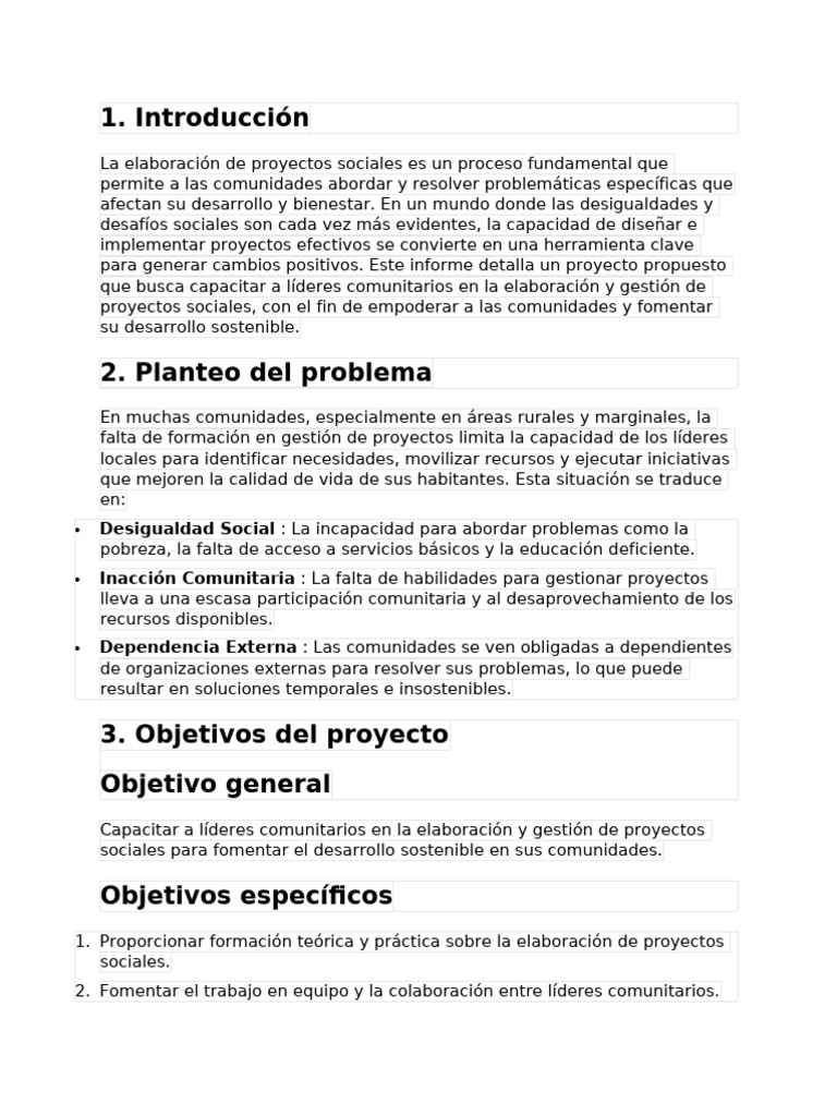 Proyecto Social | PDF | Evaluación | Organización no gubernamental