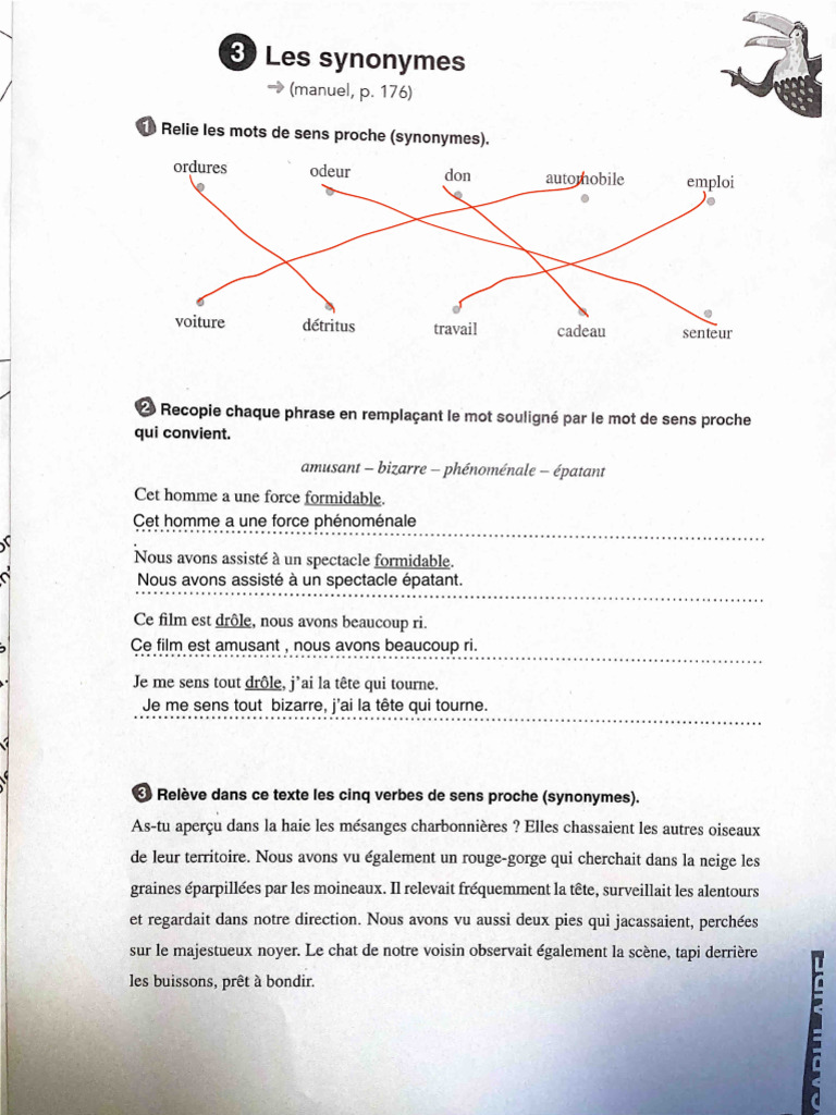 Synonymes et expressions variées | PDF