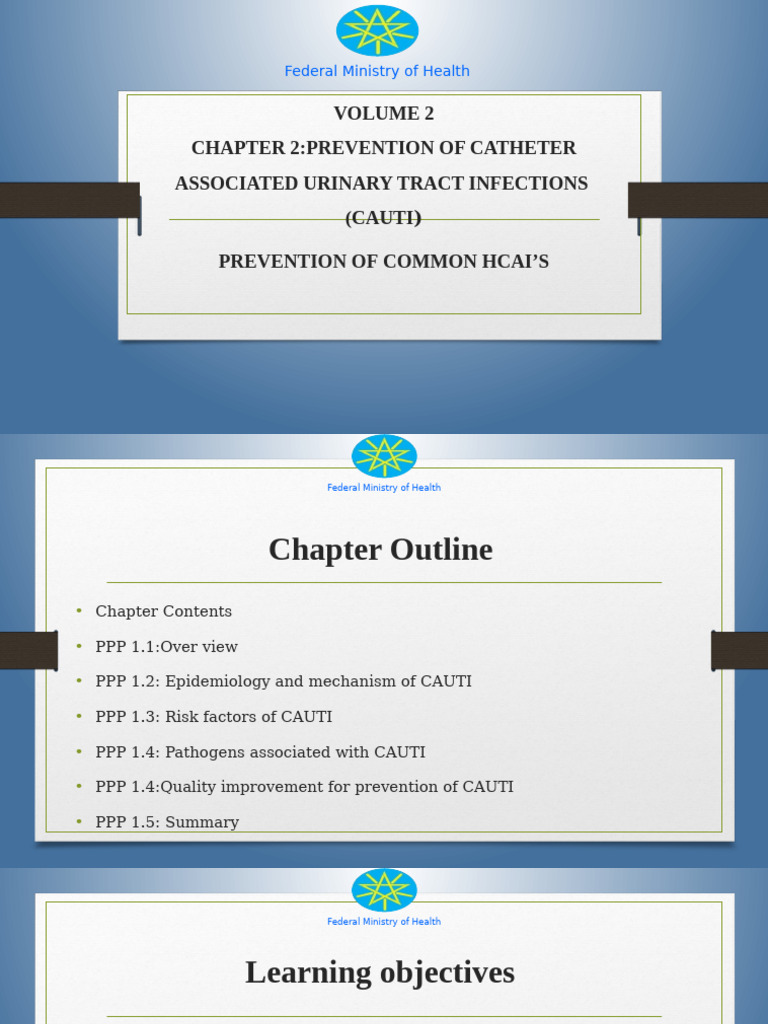 CAUTI Prevention Strategies Guide | PDF | Urinary Incontinence ...